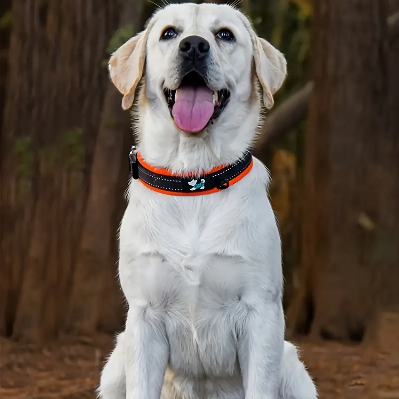 reflective pet collar 101 reflective pet collar 101