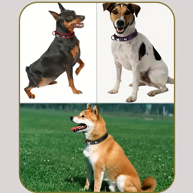 reflective pet collar 111 reflective pet collar 111